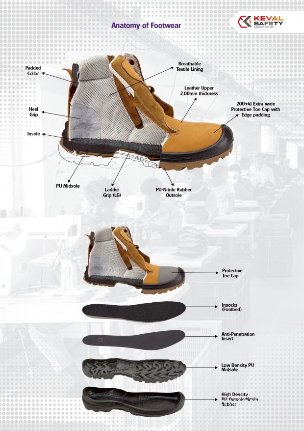 Catalog Image